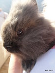 Maïli ,8 mois.