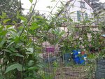 2012-06-10 19.13.40.jpg