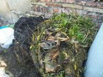 compost.JPG