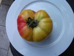 DSCF1551.jpg