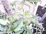 2012-06-16 10.27.02.jpg