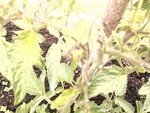 2012-06-16 10.27.47.jpg