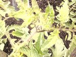 2012-06-16 10.28.16.jpg