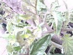 2012-06-16 10.27.10.jpg
