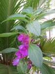 IMG_0305.JPG