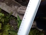 19cm170612.jpg
