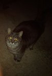 IMAG0491.JPG