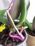 Photo0219.jpg
