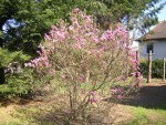 DSCN0281.JPG