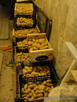 1-DSC05030.JPG