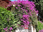 1-DSC05027.JPG