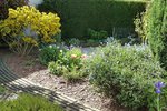 P1050222-1.jpg
