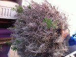 photo(2).JPG