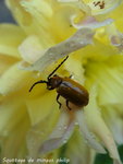 1-DSC05042.JPG