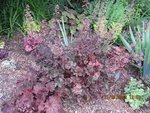 2012-06-21 dte x.jpg