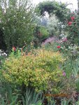 2012-06-21 fouillis x.jpg