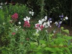 2012-06-21  été x.jpg