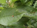 DSC00419.JPG