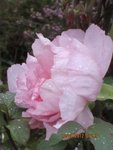 2012-05-10 ch.JMF x.jpg