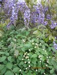 2012-05-12  découvertes 4x.jpg