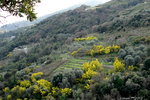 Style de terrain de la région!!<br />souvent au pied des bassins ronds ,il y a un forage!on voit nettement que le terrain descend<br />lentement ,mais surement!