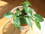 DSC02564.JPG