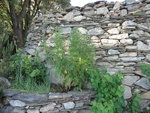 DSC01149.JPG