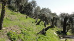 Terrain avant constuction pente a 28/100