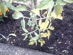 2012-06-25 08.15.28.jpg