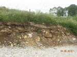 DSCN0480 - Copie.JPG