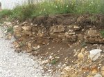 DSCN0483 - Copie.JPG