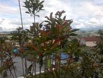 25062012229.jpg