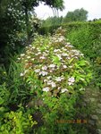 2012-06-26 visite matinale _02x.jpg