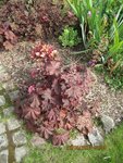 2012-06-26 visite matinale _06x.jpg
