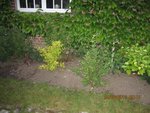 2012-06-24   sauvés ouf.x.jpg
