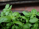 DSC01265.JPG