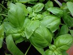 DSC01266.JPG