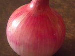 Oignons, récolte 2011, jusqu'à 900g<br />pièce ! rien que du fumier, aucun<br />traitement !