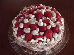 Fraisier maison fait ce matin, pour vous <br />les jardiniers !