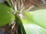 DSCF1760.JPG