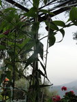 1-DSC05129.JPG