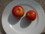 DSCF2166.JPG