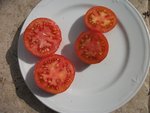 DSCF2174.JPG