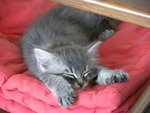 DSCN7773.JPG