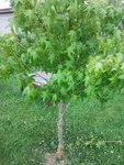 2012-06-30 10.31.57.jpg