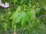 2012-06-30 10.32.07.jpg