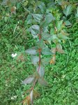 2012-06-30 10.32.32.jpg