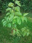 2012-06-30 10.33.00.jpg