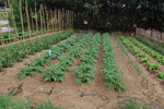 jardin_100501-(6)W.jpg