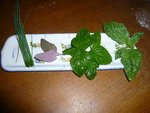 ciboulette-arroche-menthe-basilic.jpg